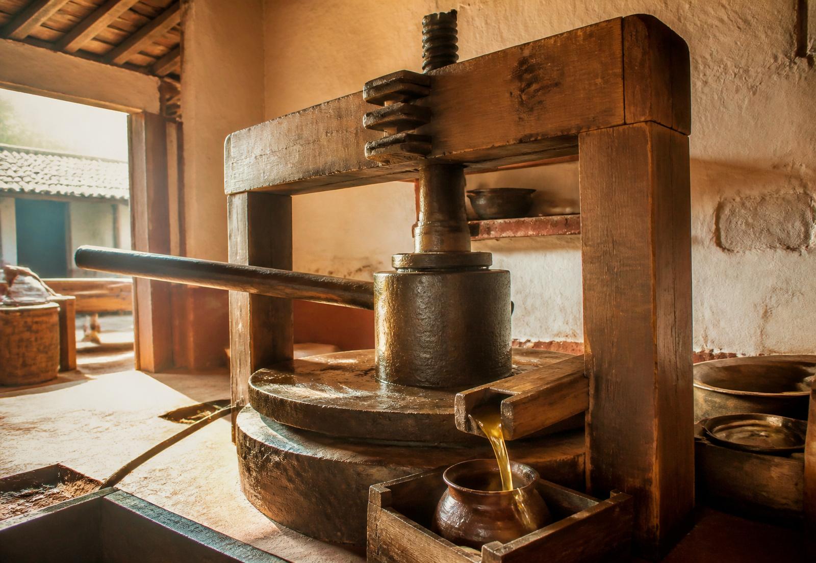Traditional wooden ganuga cold press mill extracting fresh oil in Guntur